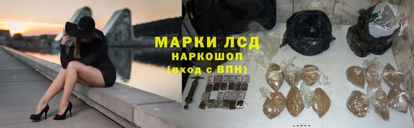сатива Михайловка