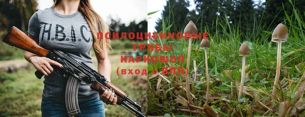 сатива Михайловка