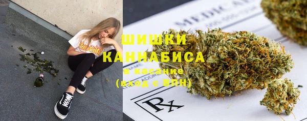 сатива Михайловка