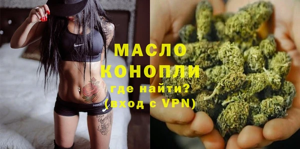сатива Михайловка